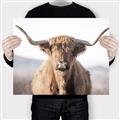Picture of Shaggy Bull II _GroupedProduct_Rectangle_Landscape_Photography _GroupedProduct_Rectangle_Landscape_Canvas_