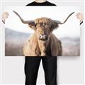 Picture of Shaggy Bull II _GroupedProduct_Rectangle_Landscape_Photography _GroupedProduct_Rectangle_Landscape_Canvas_