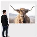 Picture of Shaggy Bull II _GroupedProduct_Rectangle_Landscape_Photography _GroupedProduct_Rectangle_Landscape_Canvas_