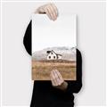 Picture of Home on a Hill _GroupedProduct_Rectangle_Portrait_Photography _GroupedProduct_Rectangle_Portrait_Canvas_