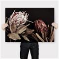 Picture of Beautiful Blooms _GroupedProduct_Rectangle_Landscape_Photography _GroupedProduct_Rectangle_Landscape_Canvas_