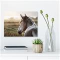 Picture of Horse & the Horizon _GroupedProduct_Rectangle_Landscape_Photography _GroupedProduct_Rectangle_Landscape_Canvas_