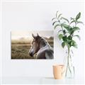 Picture of Horse & the Horizon _GroupedProduct_Rectangle_Landscape_Photography _GroupedProduct_Rectangle_Landscape_Canvas_