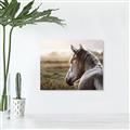 Picture of Horse & the Horizon _GroupedProduct_Rectangle_Landscape_Photography _GroupedProduct_Rectangle_Landscape_Canvas_