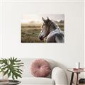 Picture of Horse & the Horizon _GroupedProduct_Rectangle_Landscape_Photography _GroupedProduct_Rectangle_Landscape_Canvas_