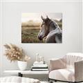 Picture of Horse & the Horizon _GroupedProduct_Rectangle_Landscape_Photography _GroupedProduct_Rectangle_Landscape_Canvas_