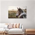 Picture of Horse & the Horizon _GroupedProduct_Rectangle_Landscape_Photography _GroupedProduct_Rectangle_Landscape_Canvas_