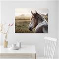 Picture of Horse & the Horizon _GroupedProduct_Rectangle_Landscape_Photography _GroupedProduct_Rectangle_Landscape_Canvas_
