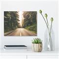 Picture of Foggy Straight Redwood Highway _GroupedProduct_Rectangle_Landscape_Photography _GroupedProduct_Rectangle_Landscape_Canvas_