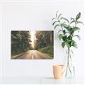 Picture of Foggy Straight Redwood Highway _GroupedProduct_Rectangle_Landscape_Photography _GroupedProduct_Rectangle_Landscape_Canvas_