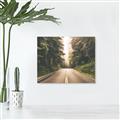 Picture of Foggy Straight Redwood Highway _GroupedProduct_Rectangle_Landscape_Photography _GroupedProduct_Rectangle_Landscape_Canvas_