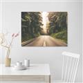 Picture of Foggy Straight Redwood Highway _GroupedProduct_Rectangle_Landscape_Photography _GroupedProduct_Rectangle_Landscape_Canvas_