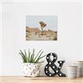 Picture of Dessert Tree _GroupedProduct_Rectangle_Landscape_Photography _GroupedProduct_Rectangle_Landscape_Canvas_