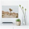 Picture of Dessert Tree _GroupedProduct_Rectangle_Landscape_Photography _GroupedProduct_Rectangle_Landscape_Canvas_