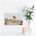Picture of Dessert Tree _GroupedProduct_Rectangle_Landscape_Photography _GroupedProduct_Rectangle_Landscape_Canvas_
