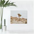 Picture of Dessert Tree _GroupedProduct_Rectangle_Landscape_Photography _GroupedProduct_Rectangle_Landscape_Canvas_
