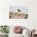 Picture of Dessert Tree _GroupedProduct_Rectangle_Landscape_Photography _GroupedProduct_Rectangle_Landscape_Canvas_