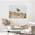 Picture of Dessert Tree _GroupedProduct_Rectangle_Landscape_Photography _GroupedProduct_Rectangle_Landscape_Canvas_
