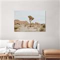 Picture of Dessert Tree _GroupedProduct_Rectangle_Landscape_Photography _GroupedProduct_Rectangle_Landscape_Canvas_