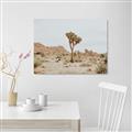 Picture of Dessert Tree _GroupedProduct_Rectangle_Landscape_Photography _GroupedProduct_Rectangle_Landscape_Canvas_