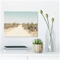 Picture of Cactus Row _GroupedProduct_Rectangle_Landscape_Photography _GroupedProduct_Rectangle_Landscape_Canvas_