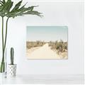 Picture of Cactus Row _GroupedProduct_Rectangle_Landscape_Photography _GroupedProduct_Rectangle_Landscape_Canvas_