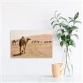 Picture of Camel Walk _GroupedProduct_Rectangle_Landscape_Photography _GroupedProduct_Rectangle_Landscape_Canvas_