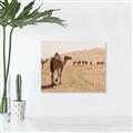 Picture of Camel Walk _GroupedProduct_Rectangle_Landscape_Photography _GroupedProduct_Rectangle_Landscape_Canvas_