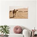Picture of Camel Walk _GroupedProduct_Rectangle_Landscape_Photography _GroupedProduct_Rectangle_Landscape_Canvas_