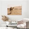Picture of Camel Walk _GroupedProduct_Rectangle_Landscape_Photography _GroupedProduct_Rectangle_Landscape_Canvas_