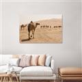 Picture of Camel Walk _GroupedProduct_Rectangle_Landscape_Photography _GroupedProduct_Rectangle_Landscape_Canvas_