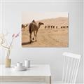 Picture of Camel Walk _GroupedProduct_Rectangle_Landscape_Photography _GroupedProduct_Rectangle_Landscape_Canvas_