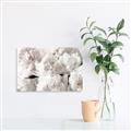 Picture of Fluffy Florals _GroupedProduct_Rectangle_Landscape_Photography _GroupedProduct_Rectangle_Landscape_Canvas_