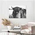 Picture of Bull in the Grass _GroupedProduct_Rectangle_Landscape_Photography _GroupedProduct_Rectangle_Landscape_Canvas_