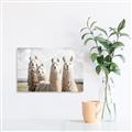 Picture of Llama Fam _GroupedProduct_Rectangle_Landscape_Photography _GroupedProduct_Rectangle_Landscape_Canvas_