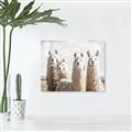 Picture of Llama Fam _GroupedProduct_Rectangle_Landscape_Photography _GroupedProduct_Rectangle_Landscape_Canvas_