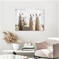 Picture of Llama Fam _GroupedProduct_Rectangle_Landscape_Photography _GroupedProduct_Rectangle_Landscape_Canvas_