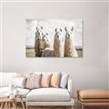 Picture of Llama Fam _GroupedProduct_Rectangle_Landscape_Photography _GroupedProduct_Rectangle_Landscape_Canvas_