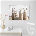 Picture of Llama Fam _GroupedProduct_Rectangle_Landscape_Photography _GroupedProduct_Rectangle_Landscape_Canvas_