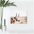 Picture of Annie, the Spotted Cow III _GroupedProduct_Rectangle_Landscape_Photography _GroupedProduct_Rectangle_Landscape_Canvas_