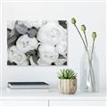 Picture of White Blooms _GroupedProduct_Rectangle_Landscape_Photography _GroupedProduct_Rectangle_Landscape_Canvas_