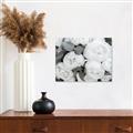 Picture of White Blooms _GroupedProduct_Rectangle_Landscape_Photography _GroupedProduct_Rectangle_Landscape_Canvas_