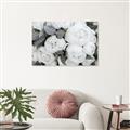 Picture of White Blooms _GroupedProduct_Rectangle_Landscape_Photography _GroupedProduct_Rectangle_Landscape_Canvas_