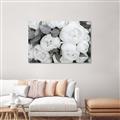 Picture of White Blooms _GroupedProduct_Rectangle_Landscape_Photography _GroupedProduct_Rectangle_Landscape_Canvas_