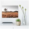 Picture of One Tree _GroupedProduct_Rectangle_Landscape_Photography _GroupedProduct_Rectangle_Landscape_Canvas_