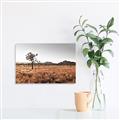 Picture of One Tree _GroupedProduct_Rectangle_Landscape_Photography _GroupedProduct_Rectangle_Landscape_Canvas_