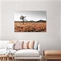 Picture of One Tree _GroupedProduct_Rectangle_Landscape_Photography _GroupedProduct_Rectangle_Landscape_Canvas_