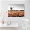 Picture of One Tree _GroupedProduct_Rectangle_Landscape_Photography _GroupedProduct_Rectangle_Landscape_Canvas_