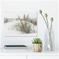 Picture of Sand Dunes _GroupedProduct_Rectangle_Landscape_Photography _GroupedProduct_Rectangle_Landscape_Canvas_