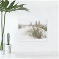 Picture of Sand Dunes _GroupedProduct_Rectangle_Landscape_Photography _GroupedProduct_Rectangle_Landscape_Canvas_